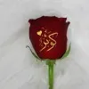 Kothar Alnajadi