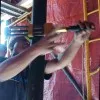 Dedik mianto