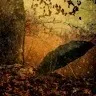 Navya Antony