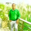 MdFaruk Hossain