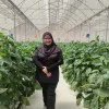 NUR AFFAH AHMAD ZUBIR