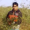 Parimal Mandal