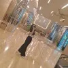Mala Sari