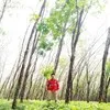 Gede Arya Whrdi Sadewo
