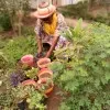 Halima Inuwa Jibril