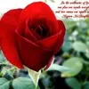 GULABR BUDHAVANT