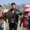 Narottam Kumar