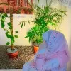 Shameem Aijaz