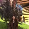 Sena Kayıkçı