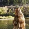 Abe Eborn