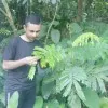Saraj Bahadur