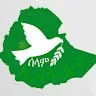 Temesgen Menegsha