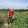 Jimmy Gunawan