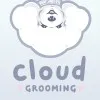 Jules Cloud