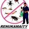 renuka maity