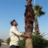 Biswjeet Singh