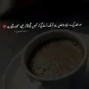 Iqra Anwar