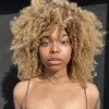 Remy Chavis