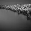 shun wan