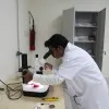 Chandra Mohan