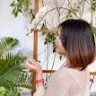 Thao Hoang