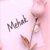 Mehak Nasir