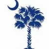 PalmettoSB Senior Benefits