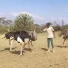Justus Owuor