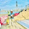 Sankar Swain