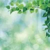 Mounika Duvvi