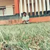 Shovu Syed