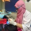 Endodontist Ruma