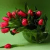 Simran