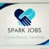 SPARK JOBS