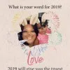Robin Levasseur