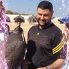 wael hassan