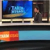 MERT CAN DEMİRCİOĞLU