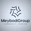Seyed mahdi Meybodi