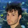 Philip Janev