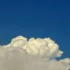Vinayak