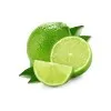 Katherine Limes