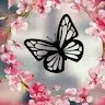 Rumeza Sheikh
