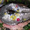 VISHAL DEY