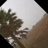 Riddhi Diwedi