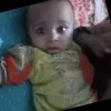 Naveed Malik