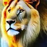 Dharm Pal Mourya