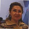 Hengameh Faghihi