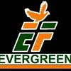 JPG Evergreen