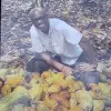 Moctar Sangaré