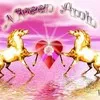 Niveen Amen
